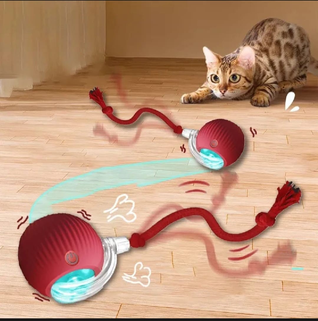 New Cat Interactive Ball Toy Automatic Rolling Ball Faux Tail Rechargeable Smart Pet Electric Toy Dog Cat Training Imitate Mouse